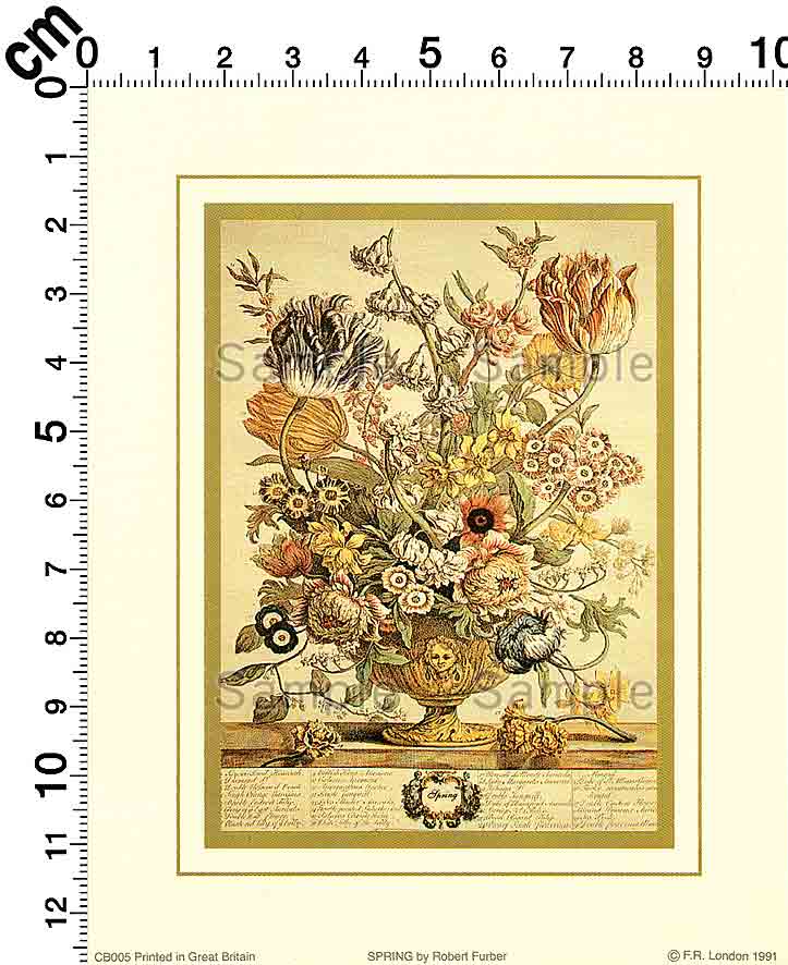 Furber's Flowers Twelve Months of Flowers Print